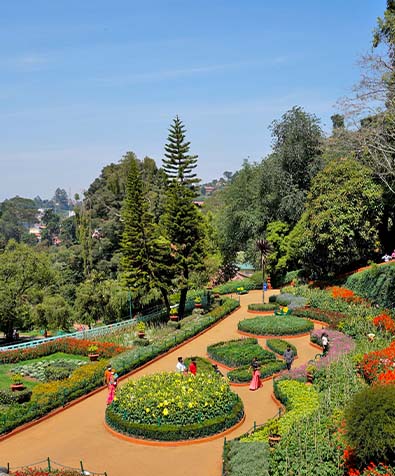 Ooty