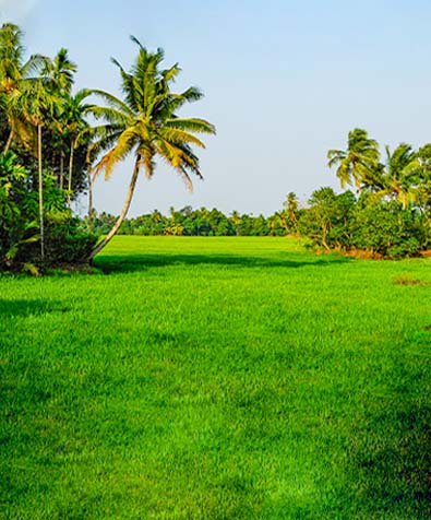 Kumarakom