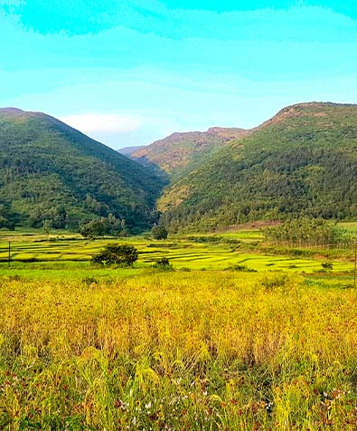 Araku Valley