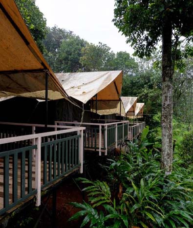 Chalona Jungle Lodge