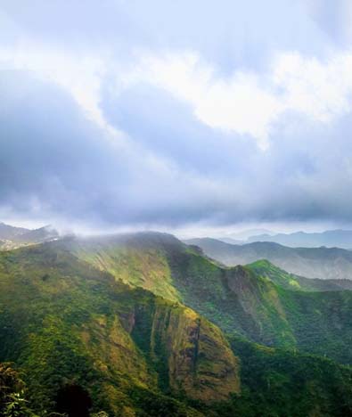 Majestic South Indian Quest